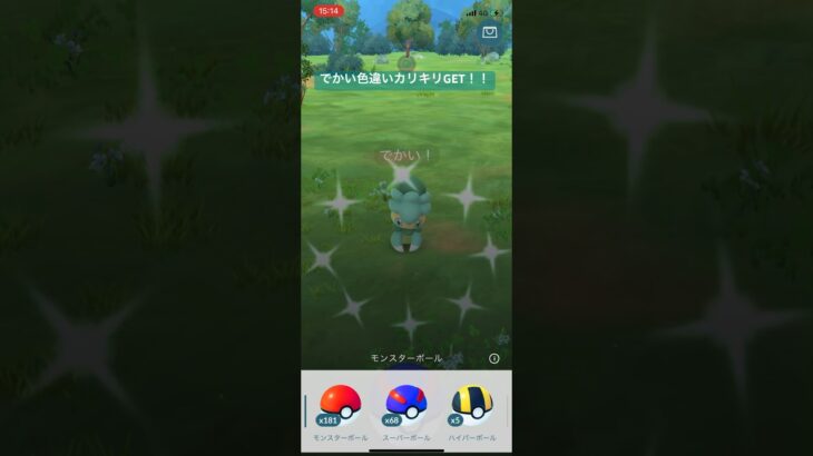 ポケモンGOでかい色違いカリキリGET！！#ポケモン #ポケモンgo #pokemongo