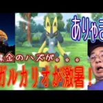 【ポケモンGO】激暑！恐ろしのメガルカリオのレイドデイ！【Lucario】