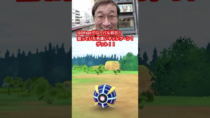 色違い祭り！狙っていた地域限定ウルトラビースト！マッシブーン色違いゲット！【ポケモンGO】#gofest2024  #マッシブーン #色違い#shiny #buzzwole #pokemongo