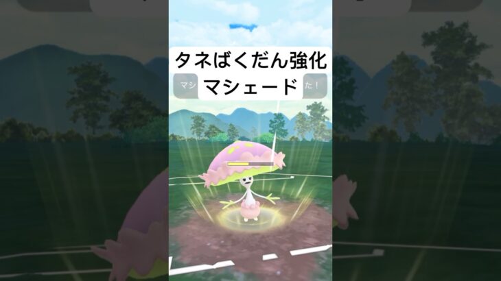 『ポケモンGO』技強化を得たマシェード【スーパーリーグ】#pokemon #pokemongo #gbl #ポケモン #ポケモンgo #shorts #short #ゲーム #ゲーム実況 #実況