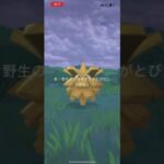 Shiny!! × 色違い!!【ポケモンGO】#shorts NO.0119