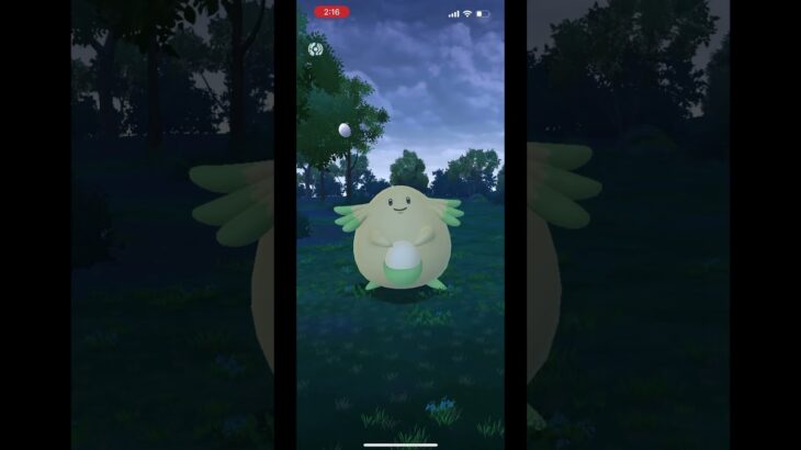 ポケモンgo  色違いラッキーーーーーー