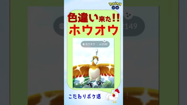 【色違い！ホウオウs】4人で速攻！鮮やかな色違い一発ゲット！ #pokemongo #ゲーム実況 #ポケモンgo #攻略 #レイドバトル #ホウオウ #色違い #shinypokemon