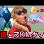 色違い100%報告多数！？補填ネクロズマと7KMタマゴ26連【ポケモンGO】