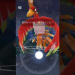 万年ベテラン2【ポケモンGO】【GBL】【マスターリーグ】【S19】202408225