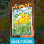 【毎日ポケカ】今日もプロモパック、開封！！336日目　#ポケモンカード　#pokemon  #毎日投稿  #開封動画　#ポケカ #pokemoncards