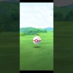 また色違いシャドウGET #pokemon #pokemongo #ポケモンgo #ポケモン #色違いシャドウ #色違い #goロケット団