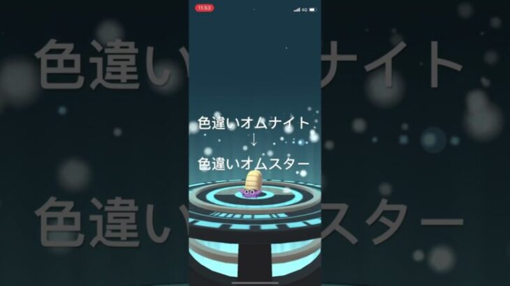 ポケモンGO 色違いオムナイト出現！色違いオムスターへ進化！