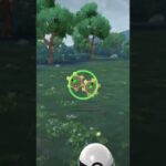 【ポケモンGO】ギアルの色違いを発見！！