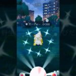 【ポケモンGO】 ヒスイガーディの色違いが可愛すぎる件について #ポケモンGO #PokemonGO #色違い #ShinyPokemon #ヒスイガーディ#shorts