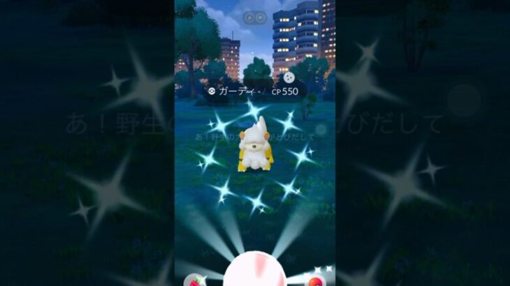 【ポケモンGO】 ヒスイガーディの色違いが可愛すぎる件について #ポケモンGO #PokemonGO #色違い #ShinyPokemon #ヒスイガーディ#shorts