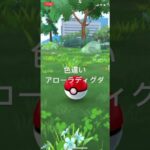 ポケモンGO 色違いアローラディグダ出現！ #pokémon #pokemongo