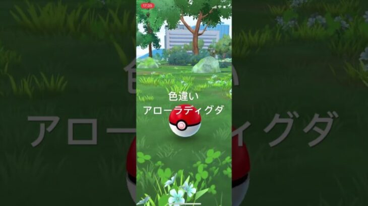 ポケモンGO 色違いアローラディグダ出現！ #pokémon #pokemongo