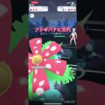 [ポケモンGO]全て異なる地方の御三家でハイパーリーグ#ポケモンgo #ポケモンgo対戦