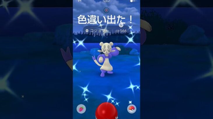 【リサーチで色違いコジョフー出た！】#ポケモンgo #pokemongo #コジョフー