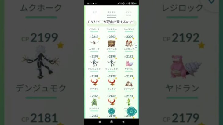 【ポケモンgo】4ヶ月プレイした私の手持ちを紹介します！ #ポケモンgo #shorts #box紹介 #初心者