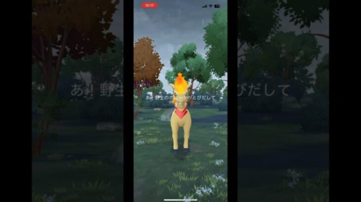 ポニータゲット！初心者part10 【ポケモンGO】　#ポケモンgo #pokemongo #pokemon #ポニータ