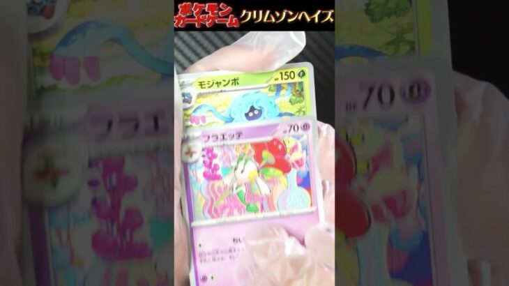 #ポケカ #ポケモンカード開封 #pokemon  #ポケモン  #ポケカ開封動画