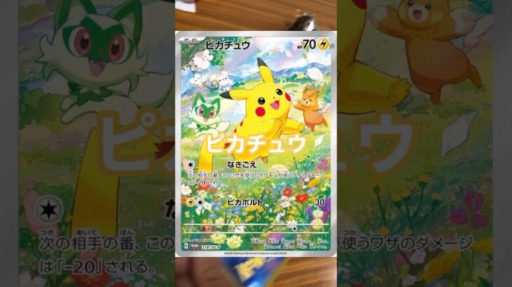 ポケモンカードプロモカード開封してみた