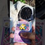 ポケモンカードパック(10日目)