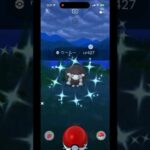 【ポケモンGO】ウールー色違い‼︎ 新実装！「歩いていこう！」イベント