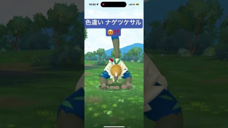 色違い ナゲツケサル😍‼️  ポケモンGO  スーパーモンキーボール😳⁉️