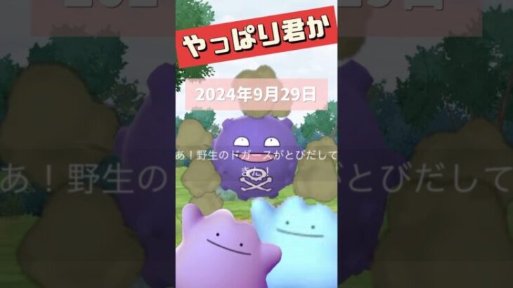 【ポケモンGO】今日はメタモン日和？今メタモンが変身しているポケモンは？ #メタモン #変身してるポケモン #2024年9月29日