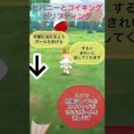 ヒバニーのリフティング！#ポケモンGO#ヒバニー#サッカー#リフティング#コイキング#相棒#可愛い#捕獲#ガラル