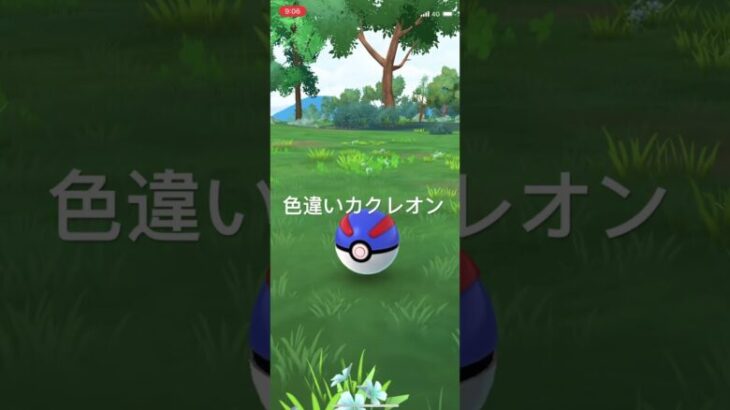 ポケモンGO 色違いカクレオン出現！ #pokémon #ポケモン #ポケモンgo #ポケgo