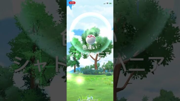 ポケモンGO 色違いシャドウキバニア出現！ #pokémon #ポケモンgo #ポケモン #nintendo #ポケgo