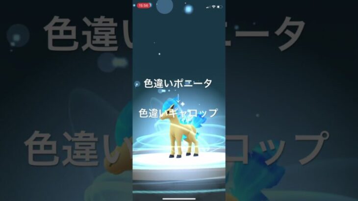 ポケモンGO 色違いポニータ出現！色違いギャロップへ進化！ #pokémon #ポケモンgo #ポケモン #pokemongo