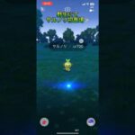 ポケモンGO 野生にてサルノリ色違い初登場✨この子は円でかいのね🤣#shorts #サルノリ