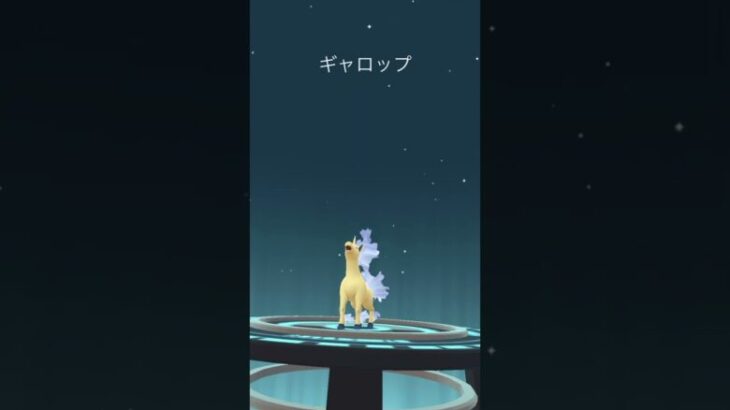 【ポケモンGO】色違いポニータ➡︎ギャロップ【コミュデイ2024年9月】