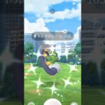 【ポケモンGO】トルネロス色違いGET＃shorts