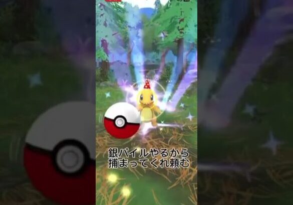 [ポケモンGO]色違いパーティハットヒトカゲと遭遇！#ポケモンgo #shorts #short #茶番