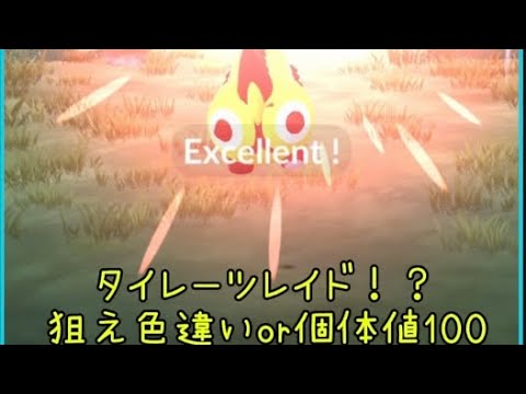 タイレーツレイド【ポケモンGO】狙え‼️色違いor個体値100♯ポケモンGO♯色違い♯個体値100♯ポケモンカード♯ポケモン