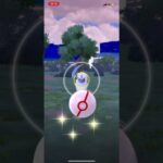 Pokémon GO Mega Absol #式浪をふ #ポケモンgo #pokemongo #ポケモン #absol #mega #メガアブソル　#pokemon #shorts