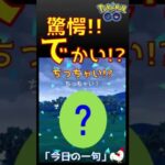 【驚愕ポケモン出現！謎かけ俳句】 #ポケモンgo #pokemongo #驚愕 #びっくり #ポケモン