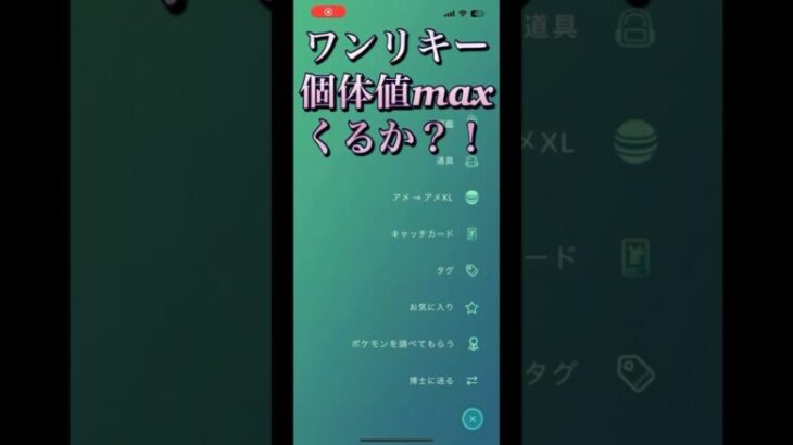 ワンリキー大量発生個体値maxくるか⁉︎ 初心者part 28 【ポケモンGO】 #ポケモンgo #pokemongo #ポケモン
