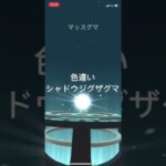 ポケモンGO 色違いシャドウジグザグマ出現！色違いマッスグマ、色違いタチフサグマへ進化！