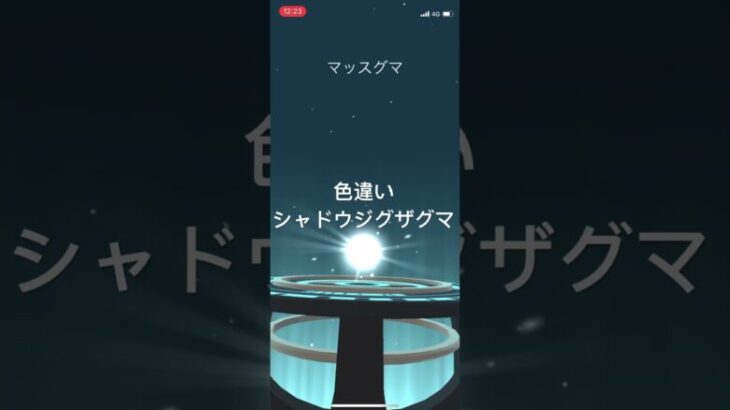 ポケモンGO 色違いシャドウジグザグマ出現！色違いマッスグマ、色違いタチフサグマへ進化！