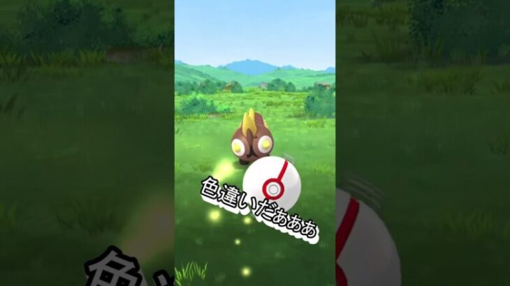 【ポケモンGO】集合体恐怖症ポケモンタイレーツの色違いを捕獲した！