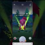 [ポケモンGO]ザマゼンタ　色違い　高個体