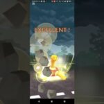 ハロウィンカップ【ポケモンGO】デスマス、マリル、ツボツボ※リトルバージョン