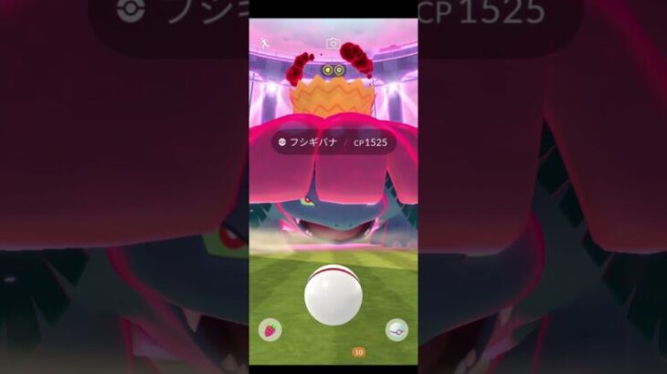 ポケモンGO　ダイマックスフシギバナ