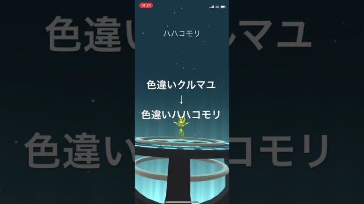 ポケモンGO 色違いクルマユを色違いハハコモリへ進化！ #pokémon #anime #ポケモンgo #ポケgo #ポケモン