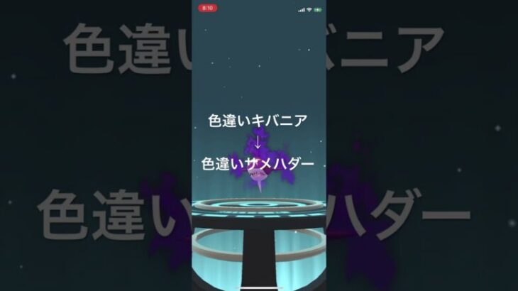 ポケモンGO 色違いシャドウキバニアを色違いシャドウサメハダーに進化させてリトレーン！ #pokémon #ポケモンgo #ポケモン #nintendoswitch