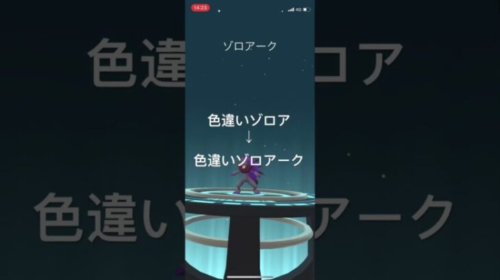 ポケモンGO 色違いゾロア出現！色違いゾロアークへ進化！ #pokémon #ポケモン #pokemongo