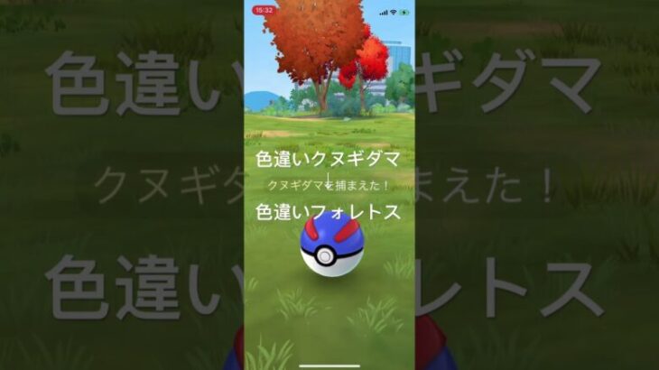 ポケモンGO 色違いクヌギダマ出現！色違いフォレトスへ進化！ #pokémon #ポケモン #pokemongo