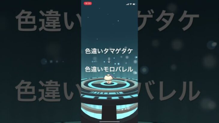 ポケモンGO 色違いタマゲタケ出現！色違いモロバレルへ進化！ #pokémon #pokemongo #ポケモンgo